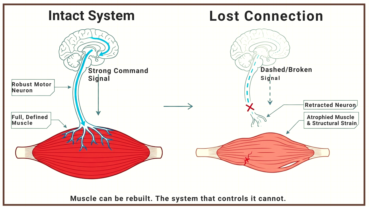 Illustration from the original newsletter.
